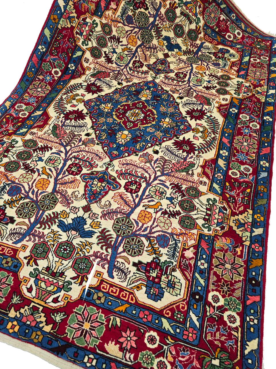 Untitled64_20241229115236